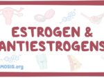 Brand:anti estrogens