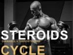 Steroid Cycles